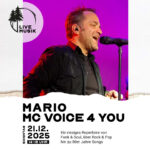 Mario MC Voice 4 you