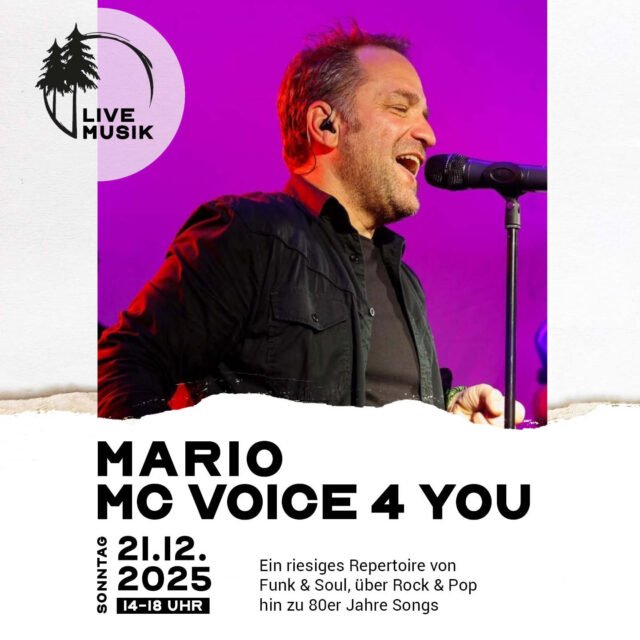 Mario MC Voice 4 you